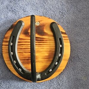 Black Horseshoe Wall Hook on Wooden Plaque